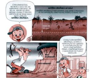solo-cimento-tijolo-ecologico